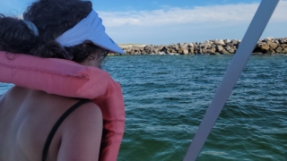 Private Dolphin and Snorkeling Tours