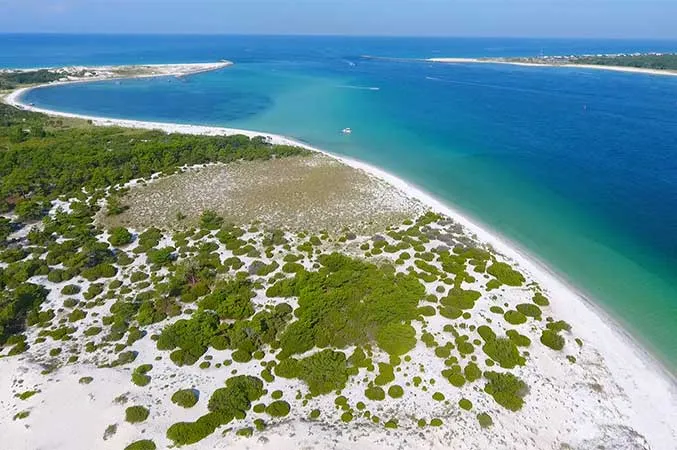 Shell Island Excursions Lower Grand Lagoon Florida